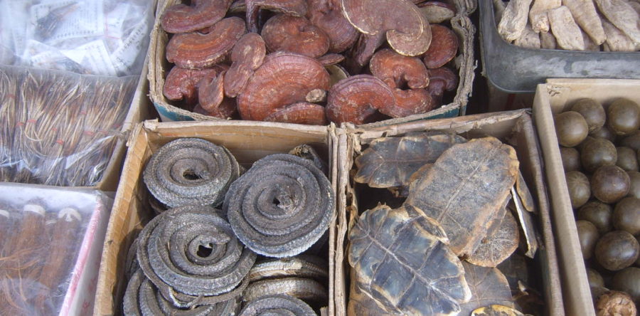 Legal Measures for Protecting Traditional Knowledge (TK)