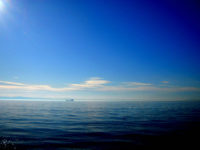 Regulating marine genetic resources in areas beyond national jurisdiction