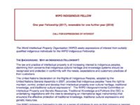 WIPO: Indigenous Fellowship Opportunity