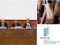 TK and TCEs Again Under Focus at 37th WIPO IGC