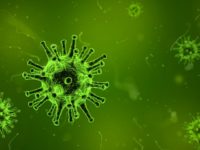Funding for Biotech Startups Raise Biopiracy Concerns, May Have Implications for Entrepreneurship Based on Traditional Knowledge
