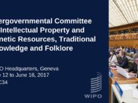 WIPO Special Committee on Genetic Resources, Traditional Knowledge, and Traditional Cultural Expression Shies Away from Consolidating its Mandate but Agrees on Lack of Indigenous Participation