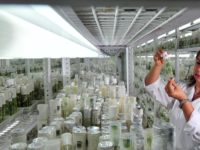 Implications of Digital DNA on the Nagoya Protocol