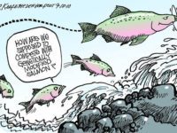 Why the fuss about GM salmon? The impact of AquAdvantage on Indigenous Populations