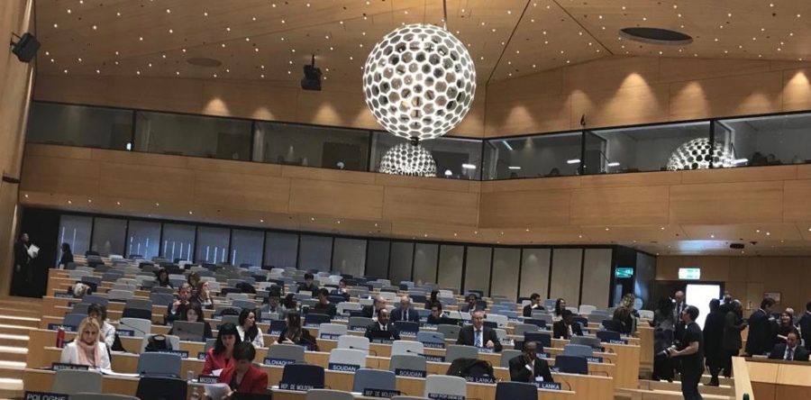 WIPO IGC 39: Unraveling the Tiered Approach to TK/TCEs