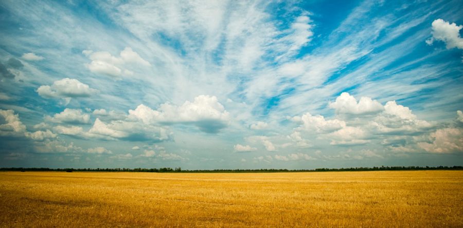 GMO Crops, Risks to Biodiversity, and the Enduring Value of Indigenous Knowledge