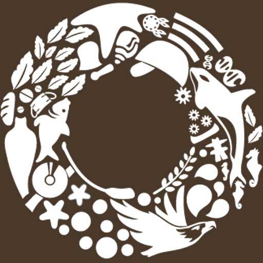 Saskatoon Focus Group: Towards an Aboriginal-Sensitive Access and Benefit Sharing Policy
