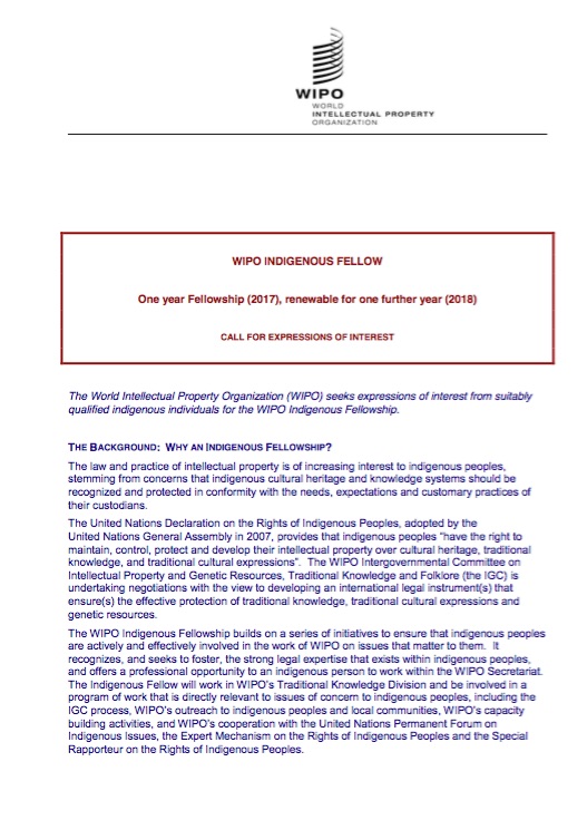 WIPO: Indigenous Fellowship Opportunity