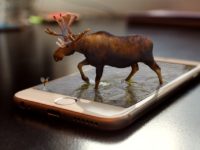 Canada: Indigenous Knowledge on A Rebound: Bringing Hope for Biodiversity Conservation and Climate Change Mitigation