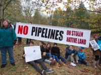 Kinder Morgan: Beyond the Division of Powers Debate – Indigenous Rights at the Crux