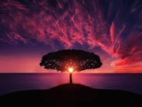 Focus on Indigenous Data Sovereignty as Part of ‘Shifting Horizons’