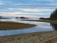 COVID-19 and Haida Yah’Guudang: Respecting All Lives